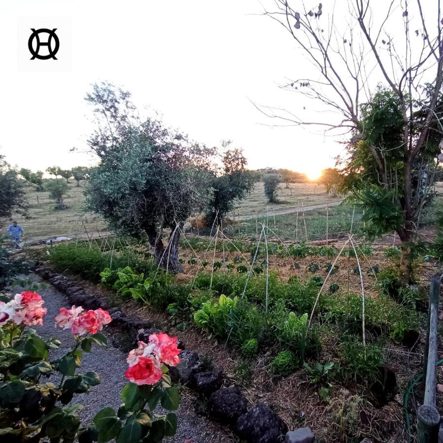 Herdade Da Ordem 카베코데비데 외부 사진