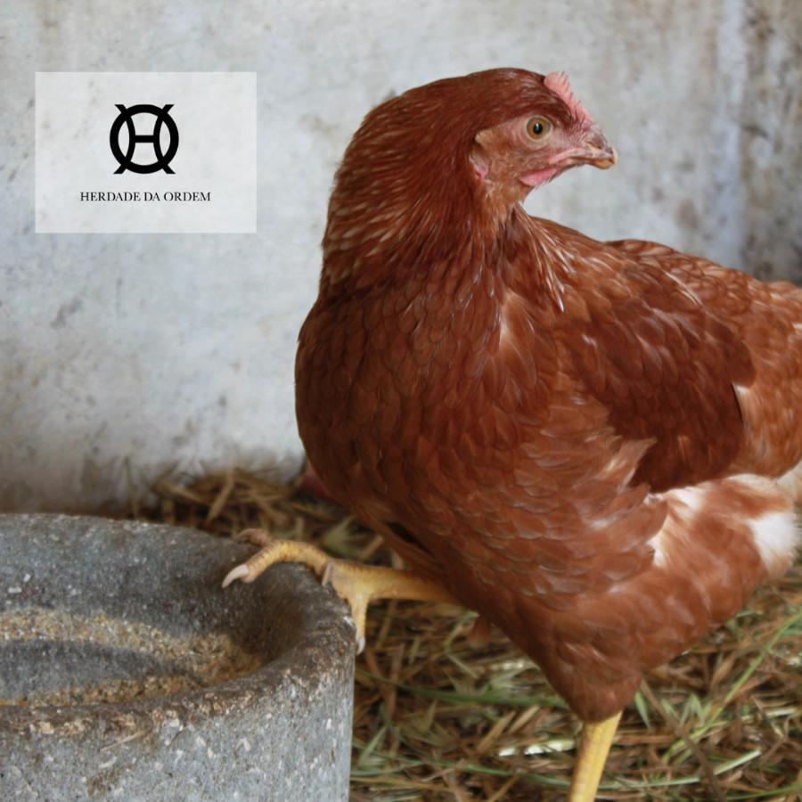 Herdade Da Ordem 카베코데비데 외부 사진