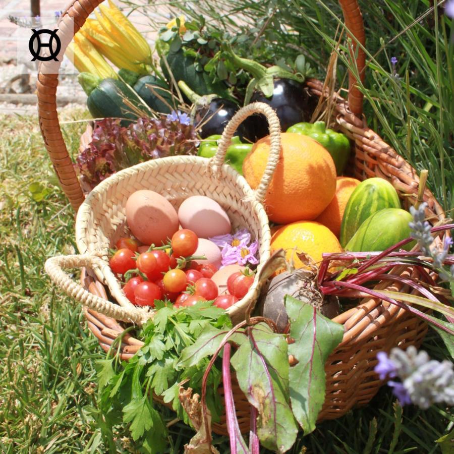 Herdade Da Ordem 카베코데비데 외부 사진